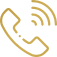 Phone icon
